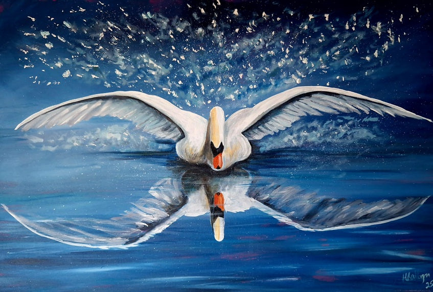Swan reflection, When Time stands still, Limited edition signed prints.