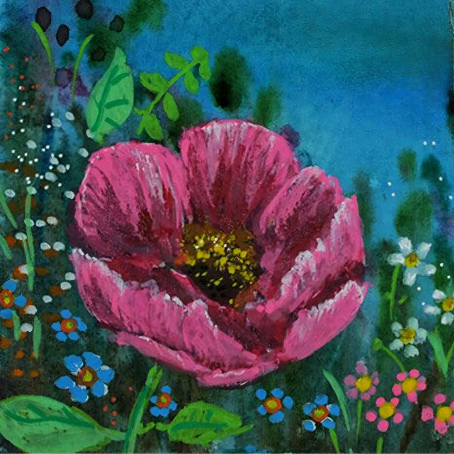 Wild Irish pink Rose, leitrim rose