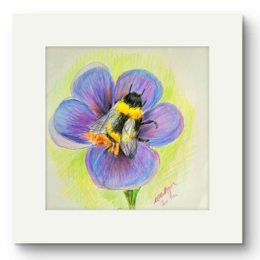 Wildlife and floral collection of Small Framed prints. 7" x7" white wooden frames. Comes with a mini easel for display purposes.