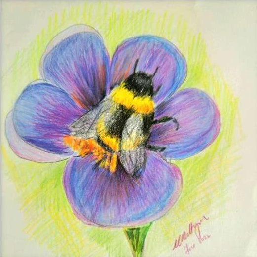A Little Rest – Bee on Purple Flower | Limited Edition Signed Print
