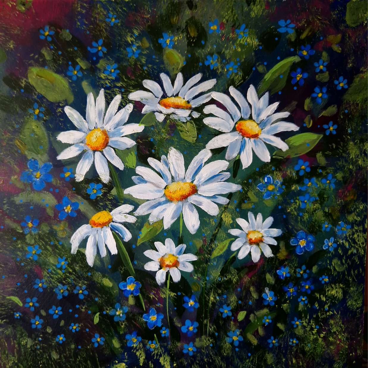 wild flower daisies on a green hedgerows