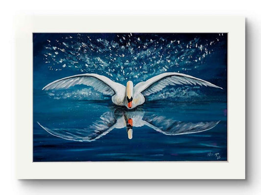 Swan reflection, When Time stands still, Limited edition signed prints.