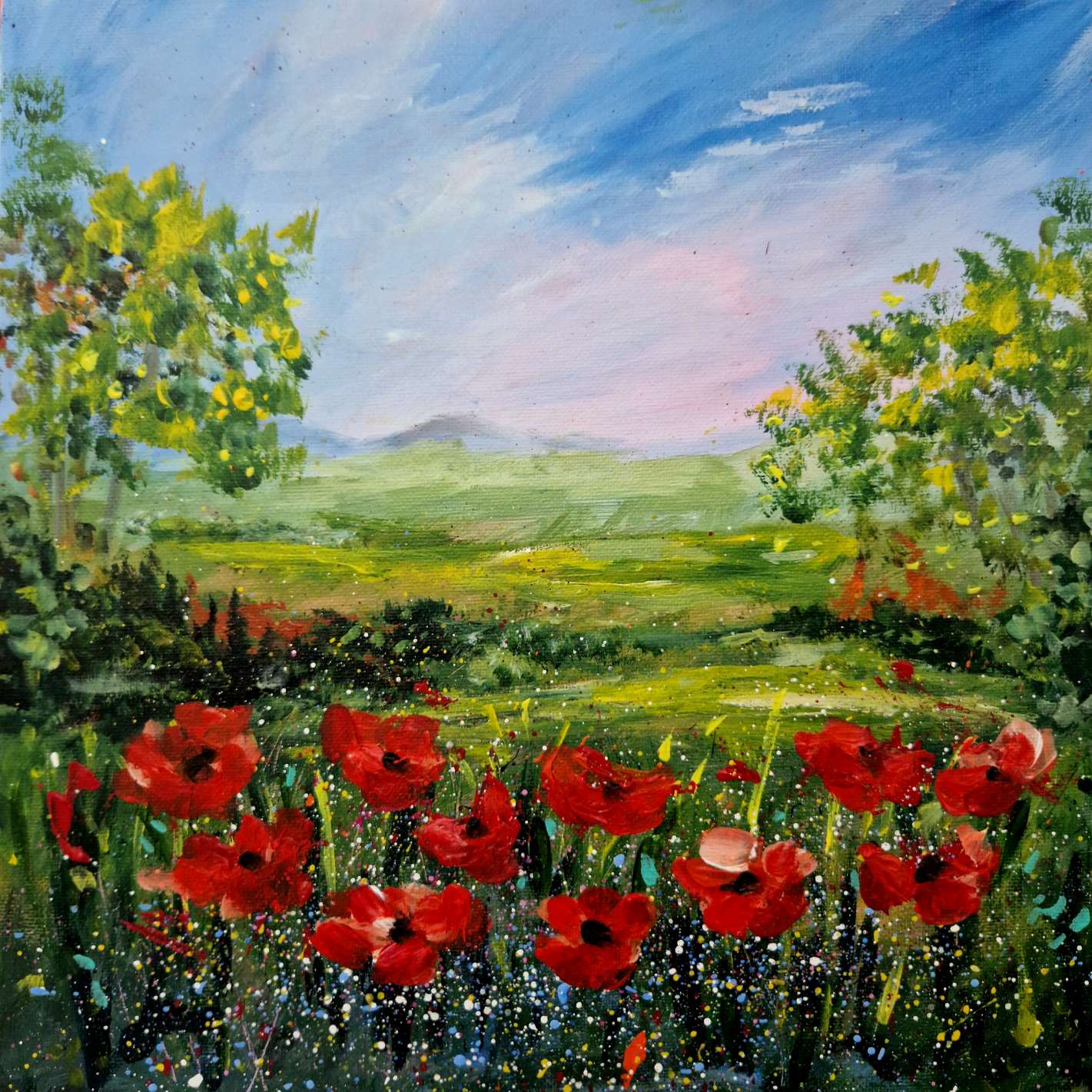 wild red poppies meadow