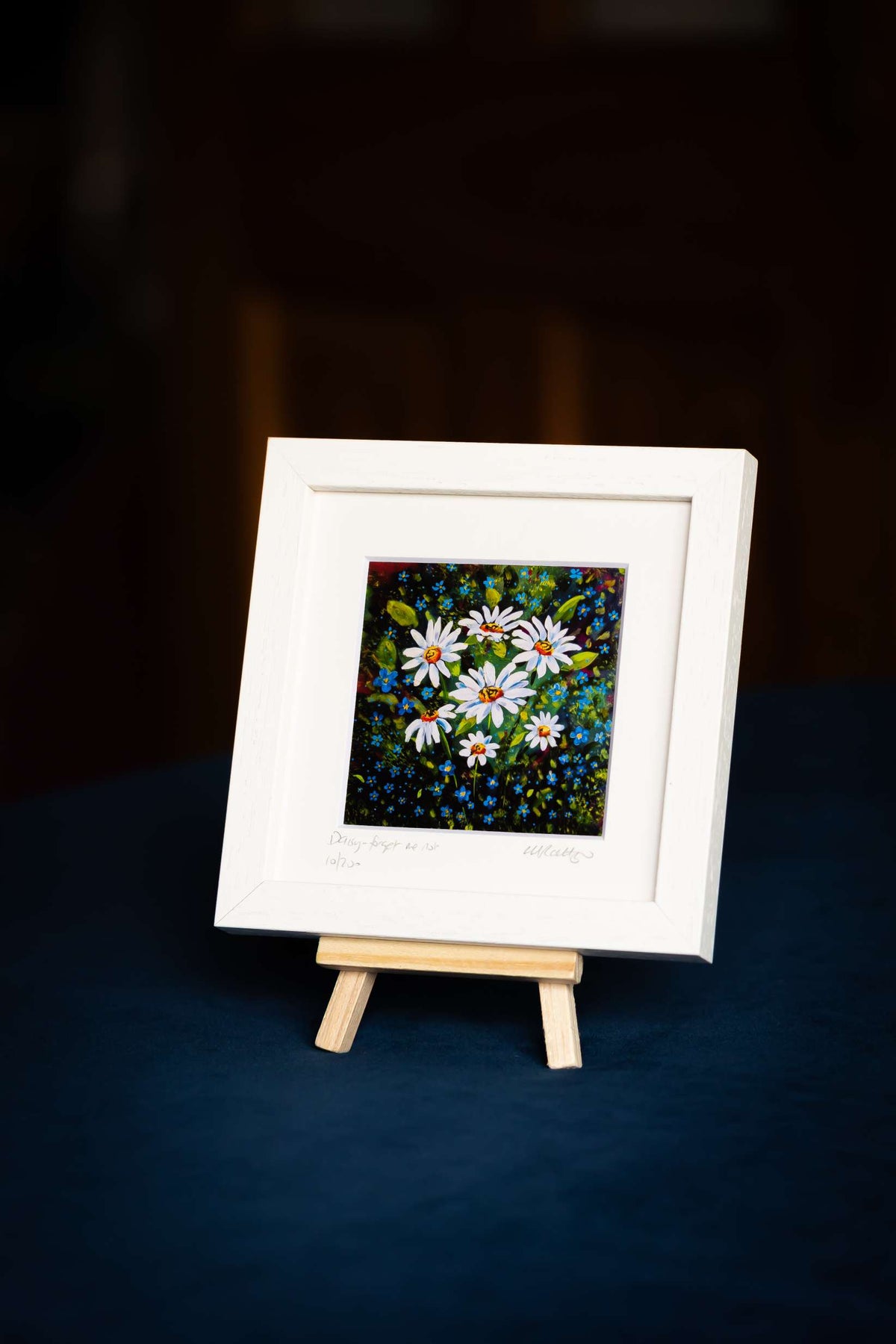Daisy Forget Me Not | Miniature Memory