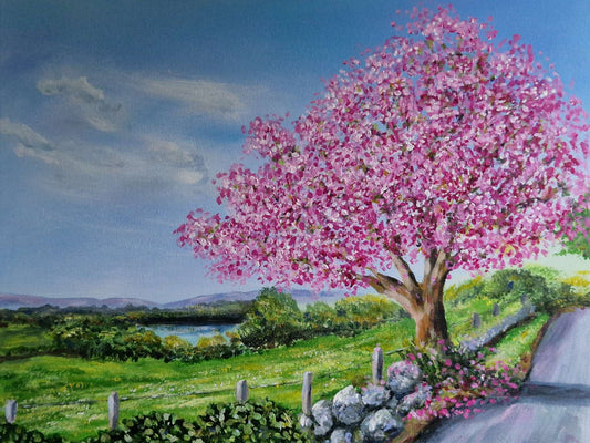Cherry blossom, springtime in Boyle limited edition print