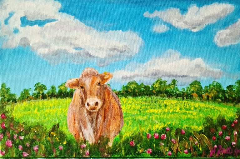 Connells cow